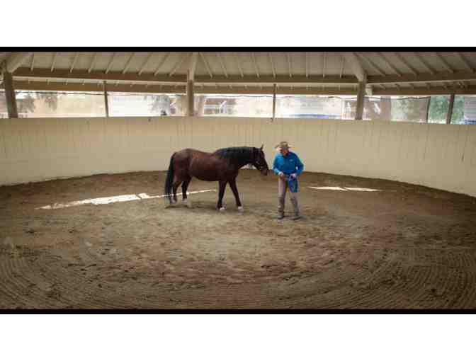 Monty Roberts Introductory Course of Horsemanship