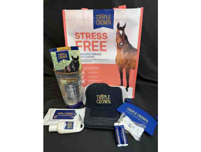 Fly Mask and triple crown