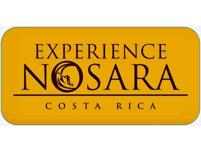 Experience Nosara Adventure Tour