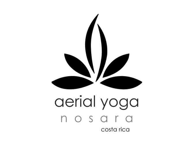 Ariel Yoga Nosara Private with Hayley