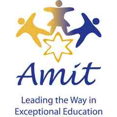 The Amit Early Intervention Program