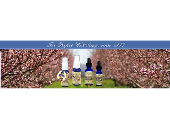 Spirit-in-Nature Flowers Essence Set of Your Choice