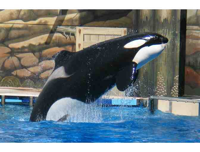 SeaWorld Orlando - Four (4) Single Day Admission Tickets