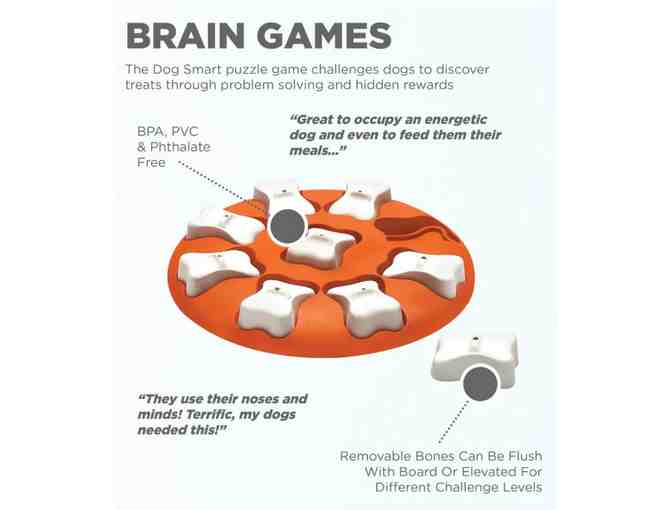 Outward Hound Dog Smart Puzzle