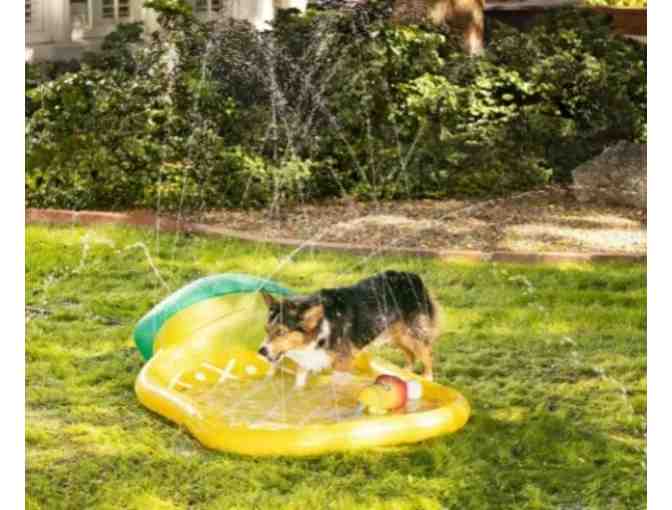 Top Paw Dog Summer Splash Pad