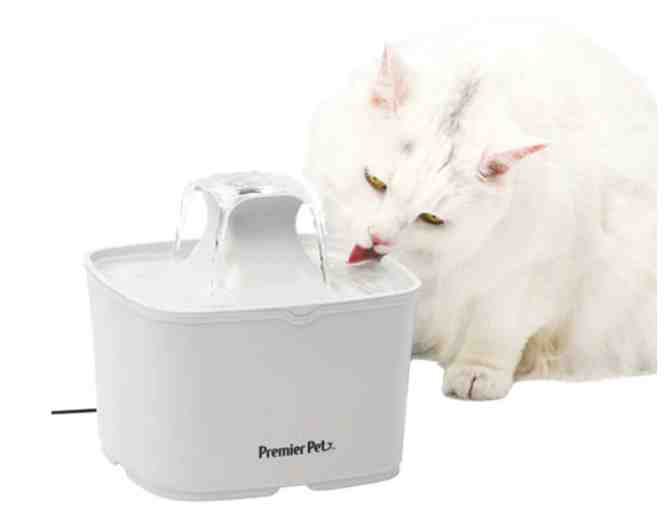 Premier Pet- 60 oz Pet Fountain