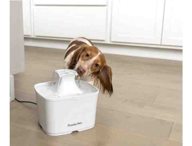 Premier Pet- 60 oz Pet Fountain
