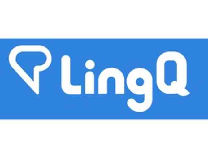 One Year of Online Language Lessons LingQ