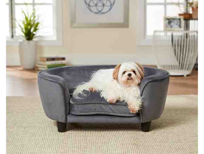 Pet Portrait Session, BarkBox Subscription, & Luxury Pet Bed - Photo 2