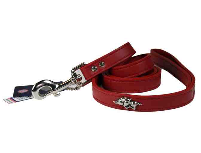 Arkansas Razorback Pet Essentials Set- Size Medium