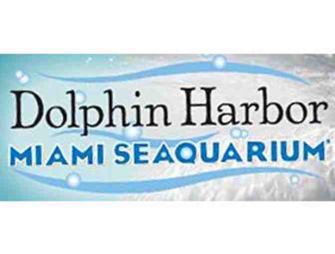 Swim with Dolphins for Two (2) at Dolphin Harbor & Admission to Miami Seaquarium