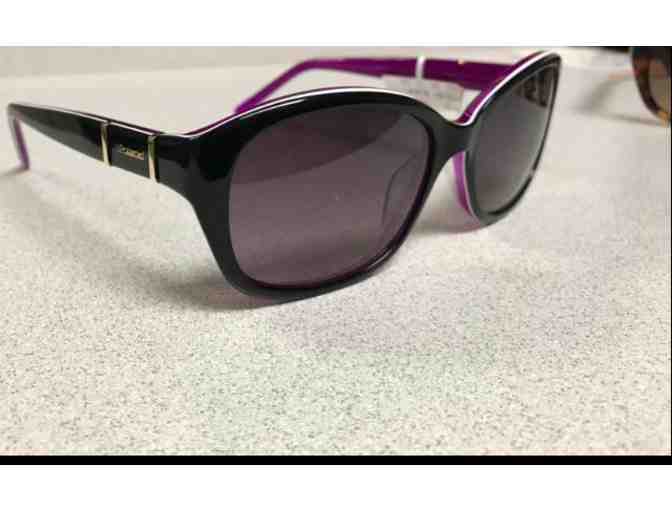 Polaroid Brand Designer Sunglasses