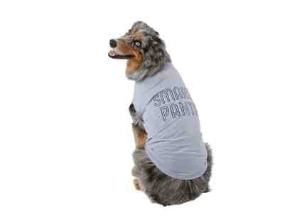 Smarty Pants Dog T-Shirt - S