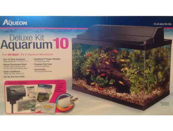 Mrs. Wilson: One Fish Two Fish! : Complete Aquarium Kit