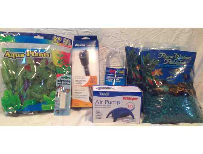 Mrs. Wilson: One Fish Two Fish! : Complete Aquarium Kit