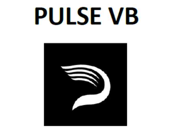 PulseVB Sensor System