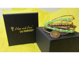 Bracelet by Alex and Ani