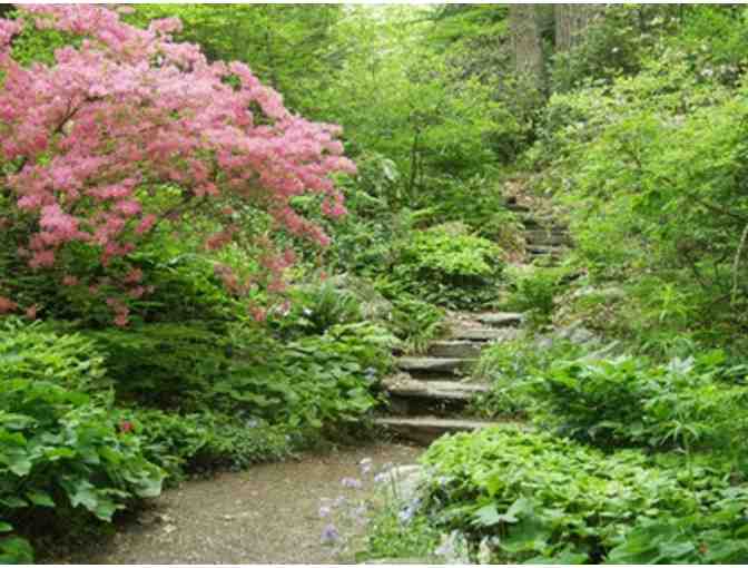 4 Tickets to Native Plant Trust Garden in the Woods - Photo 2