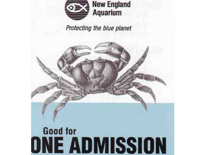 Three Passes to the New England Aquarium