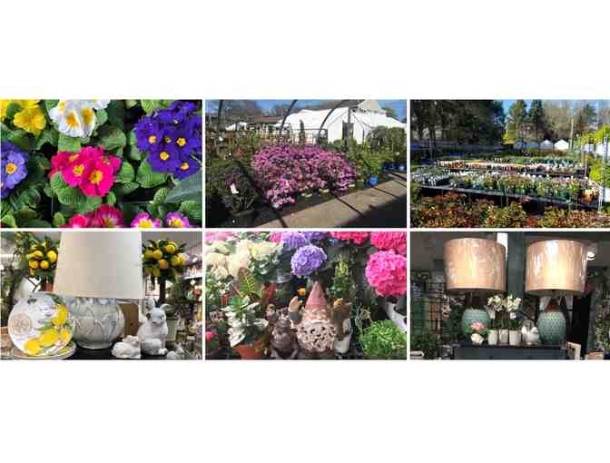 Marblehead Garden Center Giftcard