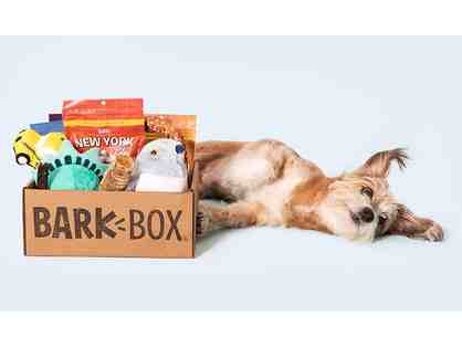 Dog and Cat Lovers Package