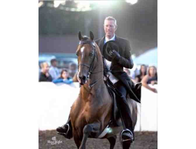 Three HorseBack Riding Lessons at Rand Farm in Falmouth