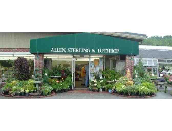$15 Gift Certificate Allen, Sterling & Lothrop & Blue Ceramic Planter
