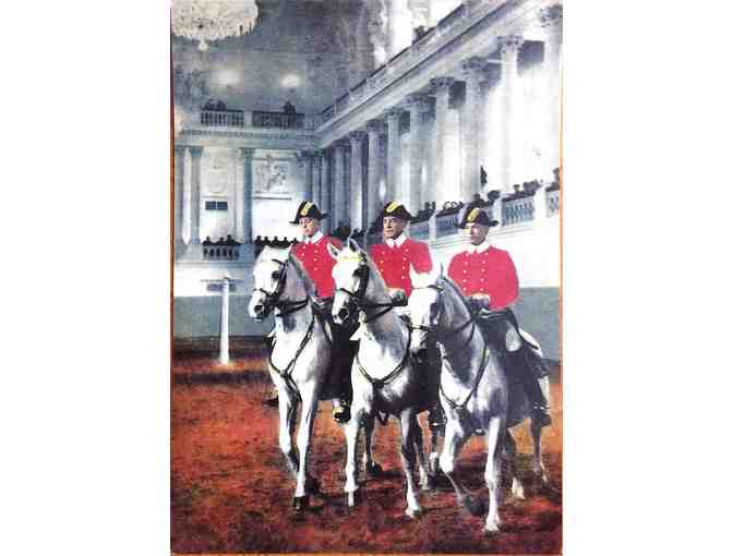 5 1990 Postcards Spanish Riding School Lipizzaner Horses