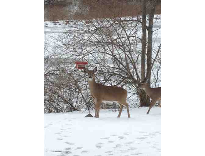 One Week Vacation in Upstate New York