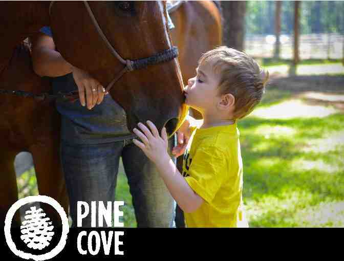 Pine Cove: One Week of Overnight Summer Camp