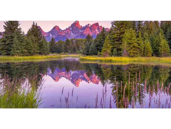 Trip to Jackson Hole Wyoming | Yellowstone National Park