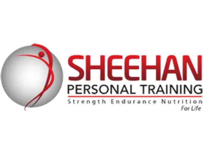 Sheehan Personal Training- Semi Private Training Sessions