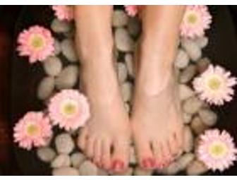 Manicure & Pedicures  for One Year at Tania's Salon & Spa