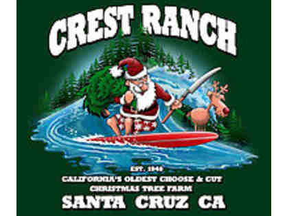 6 foot Christmas Tree from Crest Ranch Choose & Cut Tree Farm
