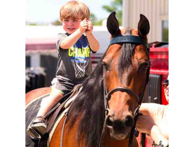 Taylor River Farm - Private Horse Riding Lesson