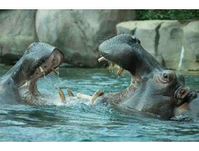 toledo zoo family membership promo code