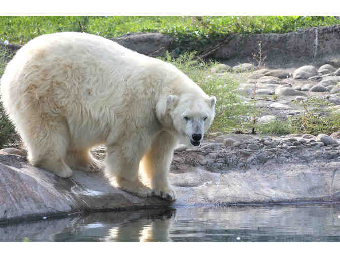 Detroit Zoo Family 4-Pack Day Passes with Parking Pass