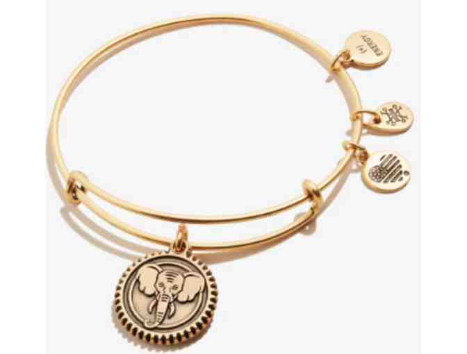 Alex and Ani Elephant Charm Bangle in Gold