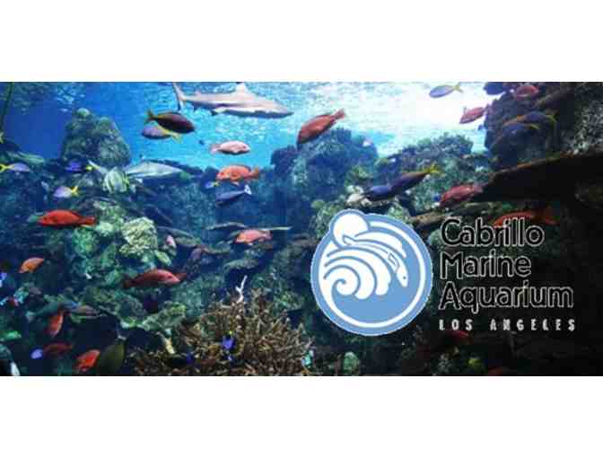 4 Tickets to Cabrillo Marine Aquarium in San Pedro for 'Meet The Grunion' Evening Program