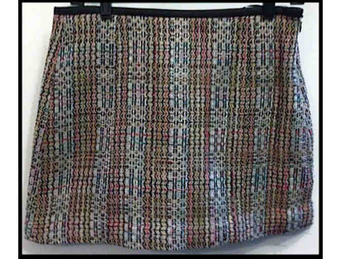 Theory Mini-Skirt (Size 2)