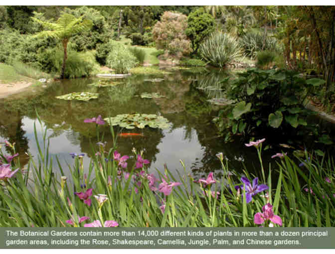 2 Passes to The Huntington Library & Gardens