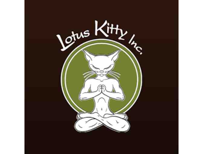 3 Fitness Classes - Lotus Kitty, Studio City