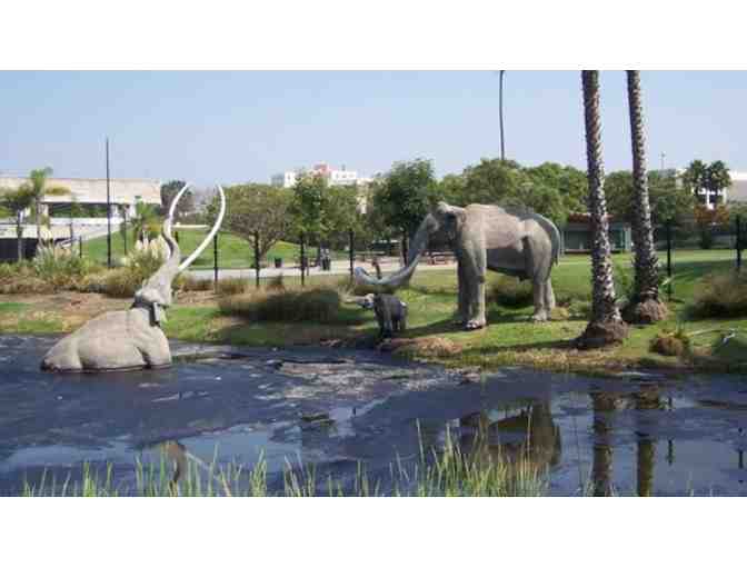 4 Guest Passes - Natural History Museum  or George C. Page Museum at the La Brea Tar Pits