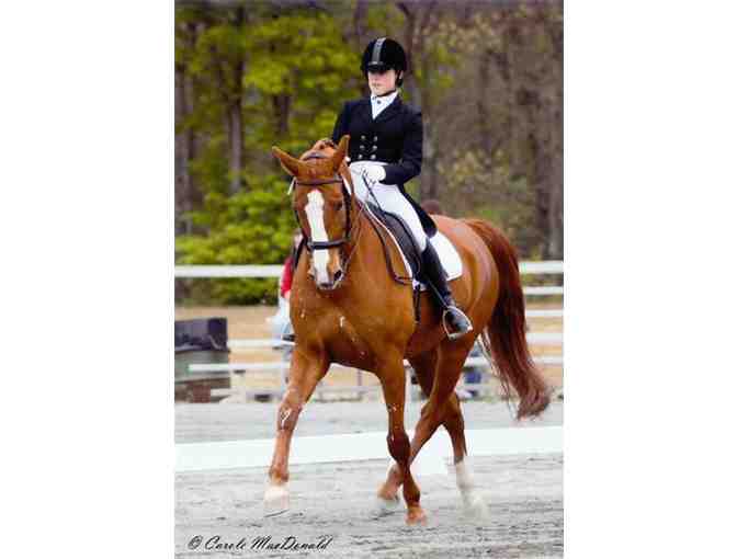 One Riding Lesson for Any Age Rider at Waterford Equestrian Center, Waterford, ME