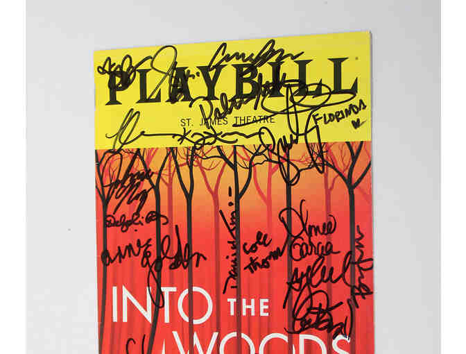 Sara Bareilles, Gavin Creel, Patina Miller & cast-signed Into the Woods Playbill