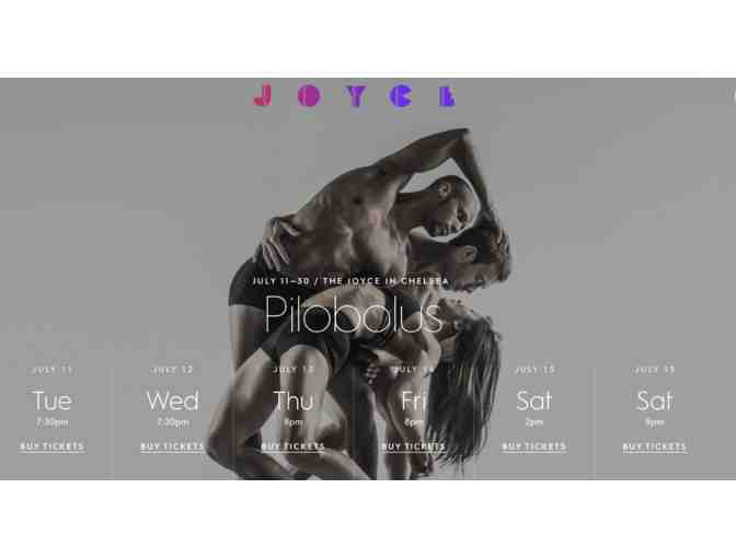 Two tickets to a Dance Performance at the World Renown Joyce Theater