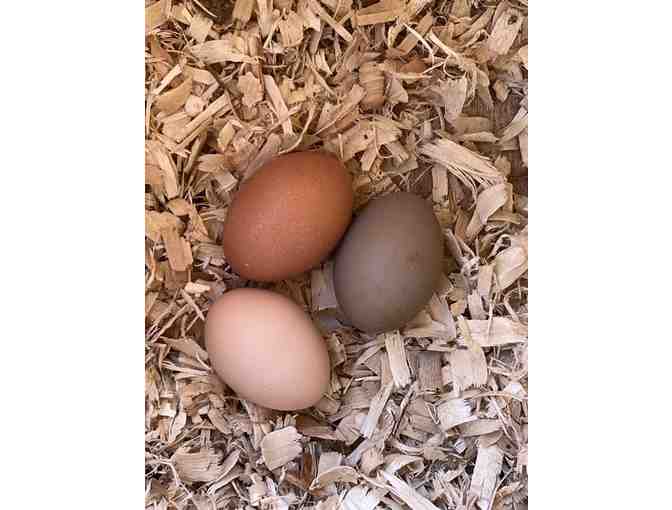A Dozen Eggs from Compass Raised Chickens! Very Egg-cellent! - Photo 1