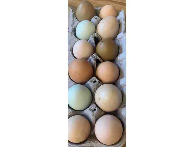 A Dozen Eggs from Compass Raised Chickens! Very Egg-cellent! - Photo 2