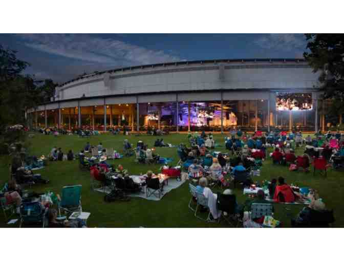 2 Lawn Tickets to John William's Night at Tanglewood