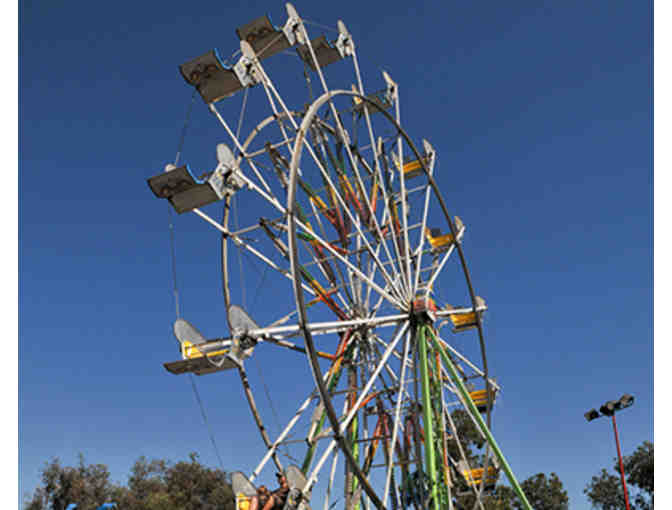 Take Photos at the Fair!